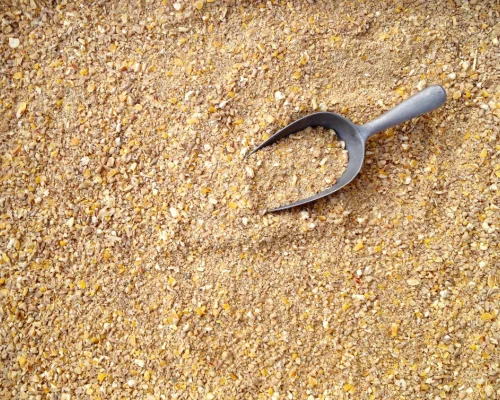 Animal Feed